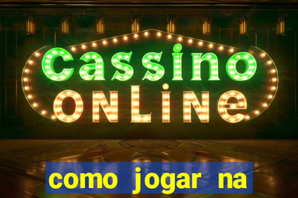 como jogar na seninha online